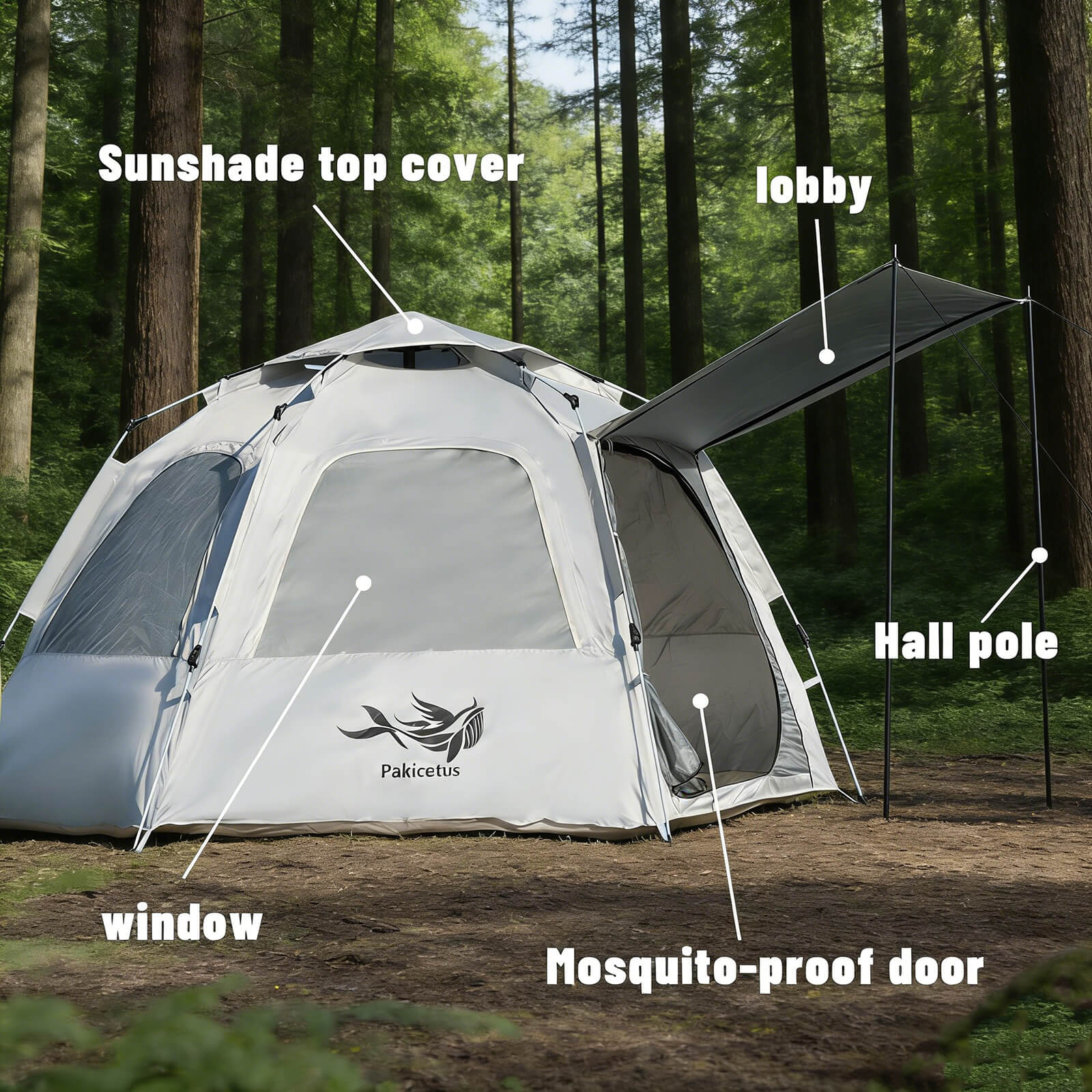 Hexagon tent structure diagram hexagon camping tent structure parts diagram labeled components detail